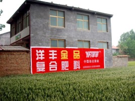 通江如何让墙体广告展现最大化效果