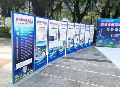 通江KT板的种类和知识。